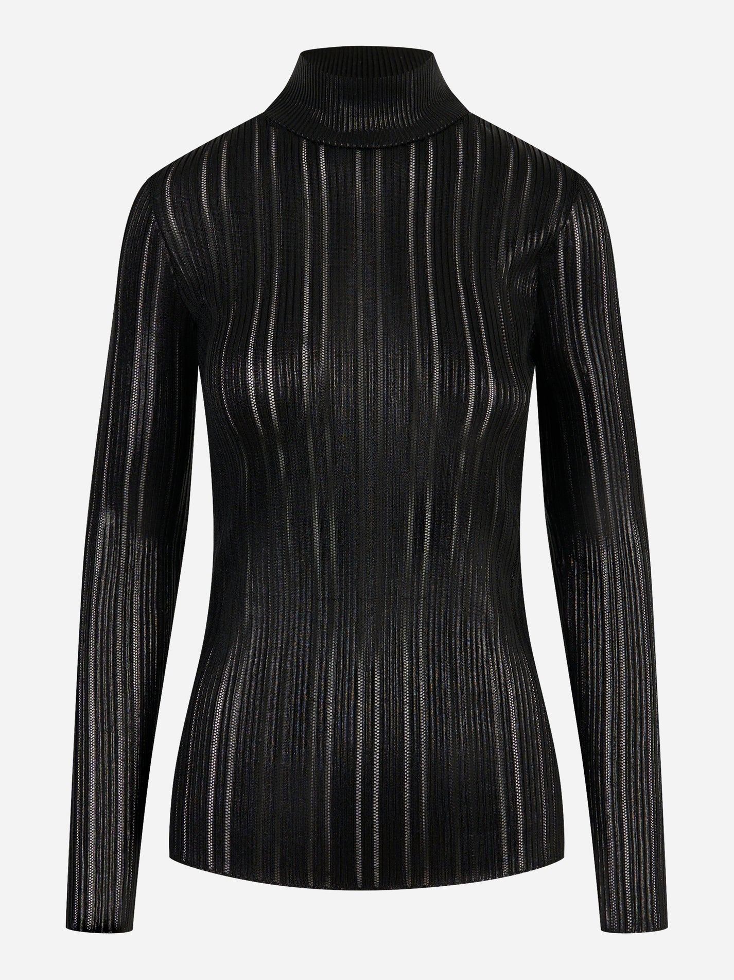 Dolcevita nero con righe trasparenti Elisabetta Franchi – fronte