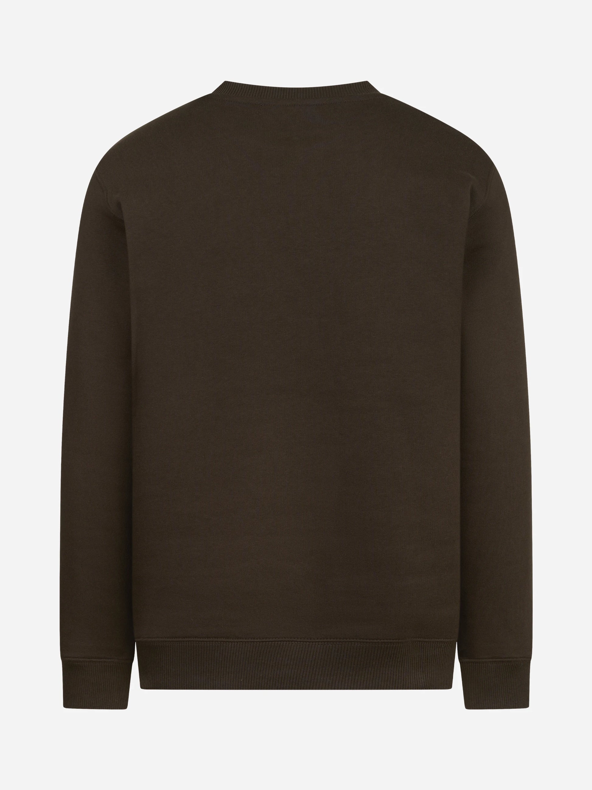 Felpa girocollo regular-fit marrone