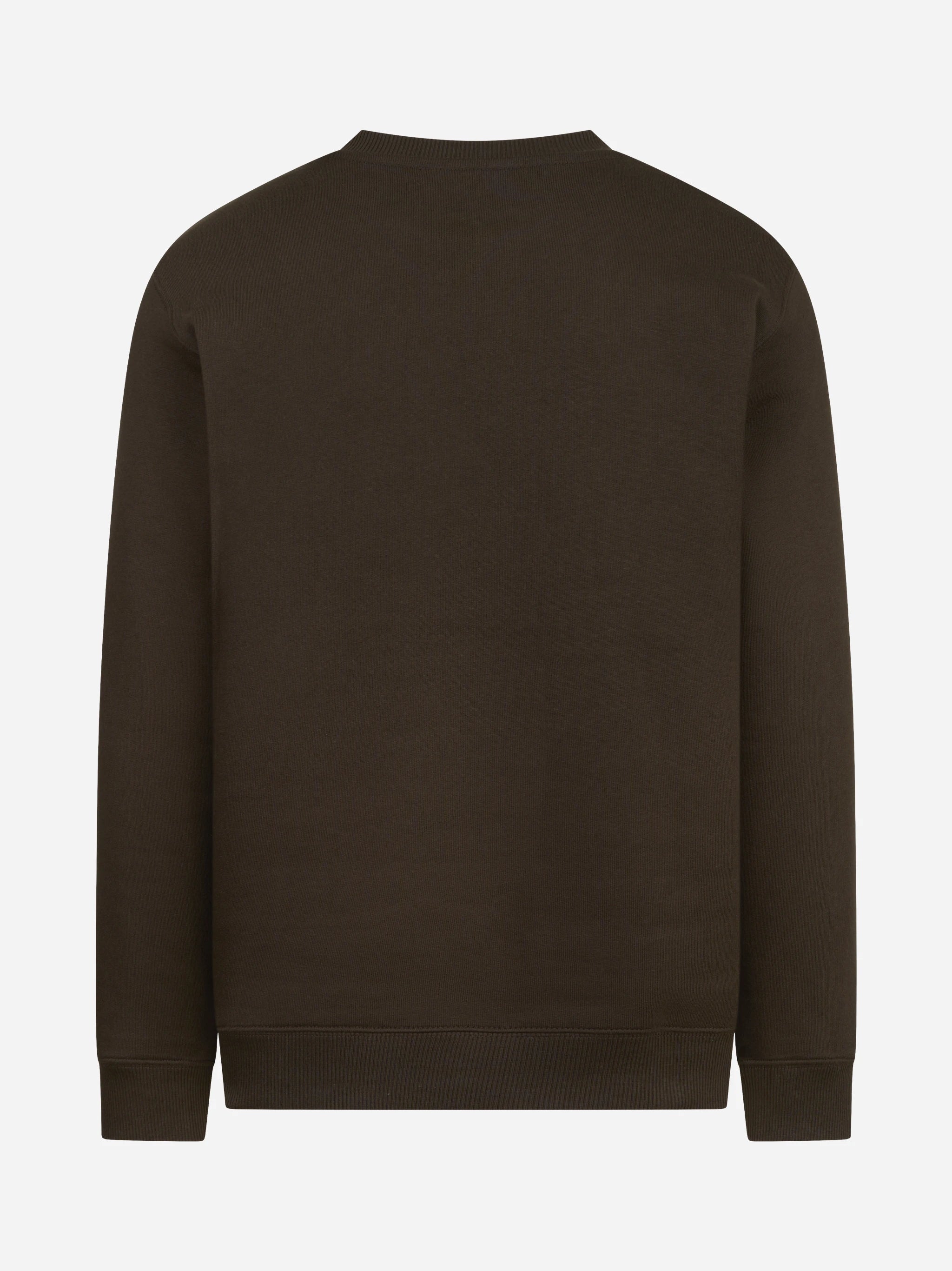 Felpa girocollo regular-fit marrone