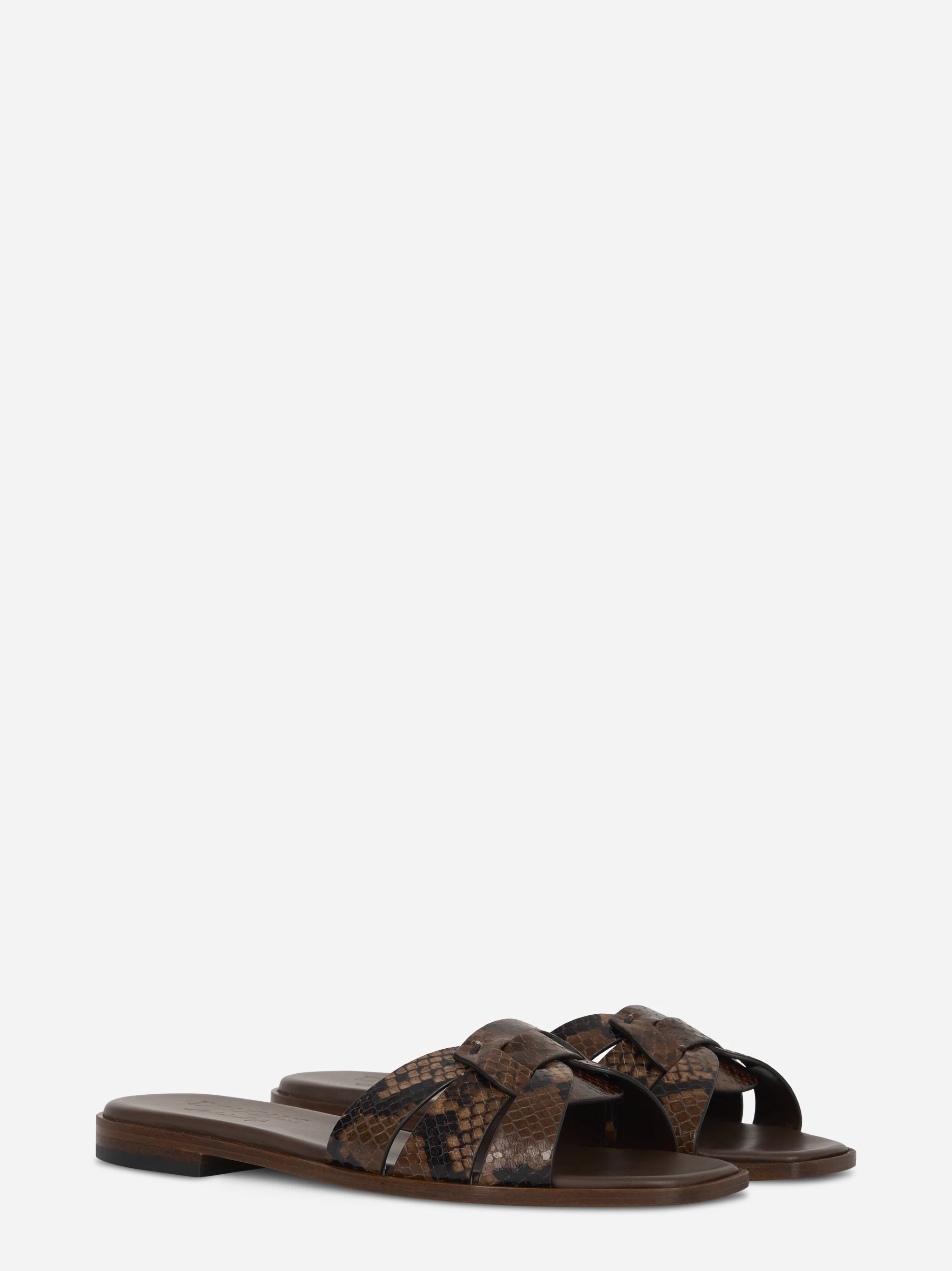 Ciabatta flat con stampa pitone nei toni del marrone