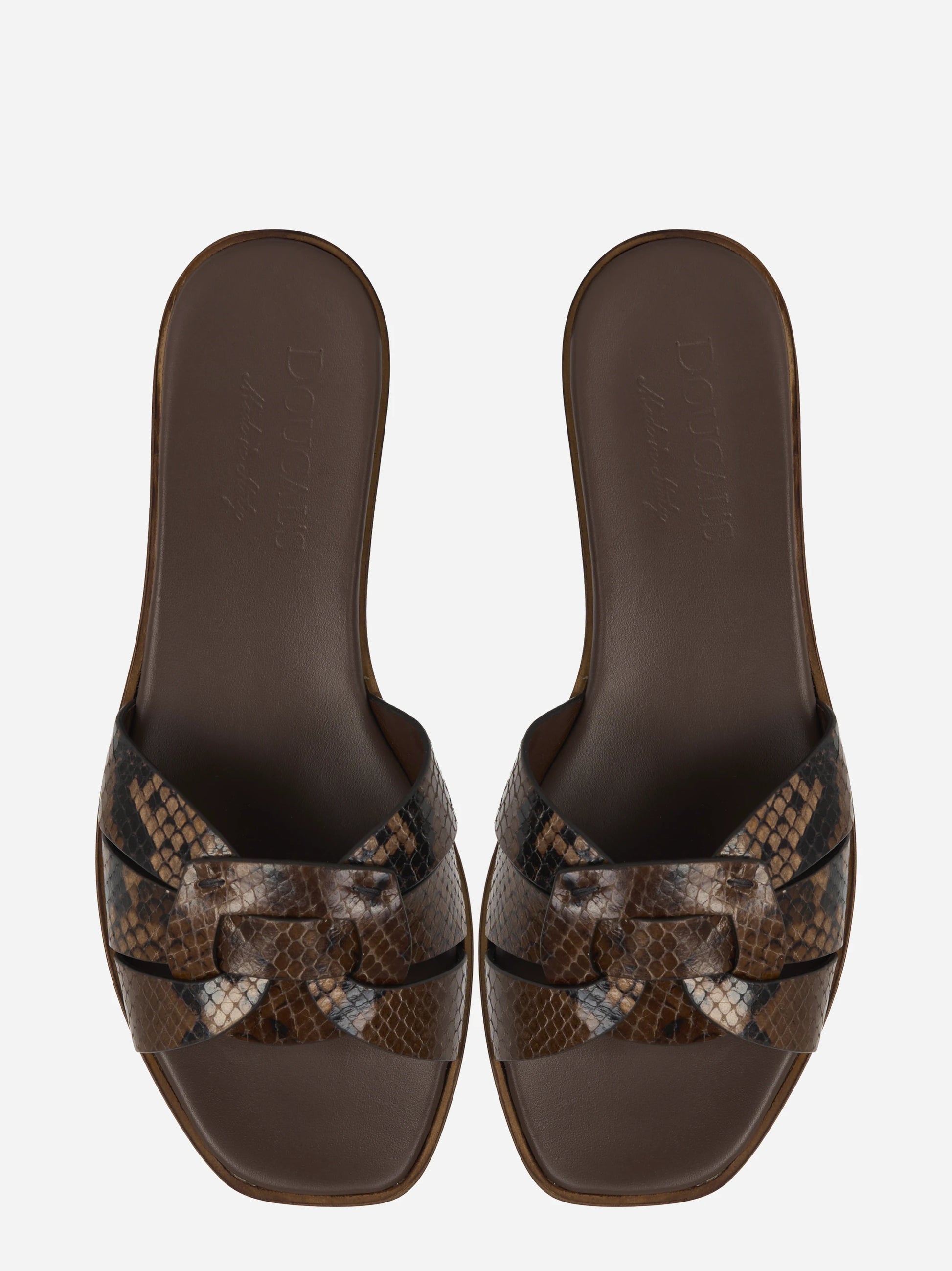 Ciabatta flat con stampa pitone nei toni del marrone