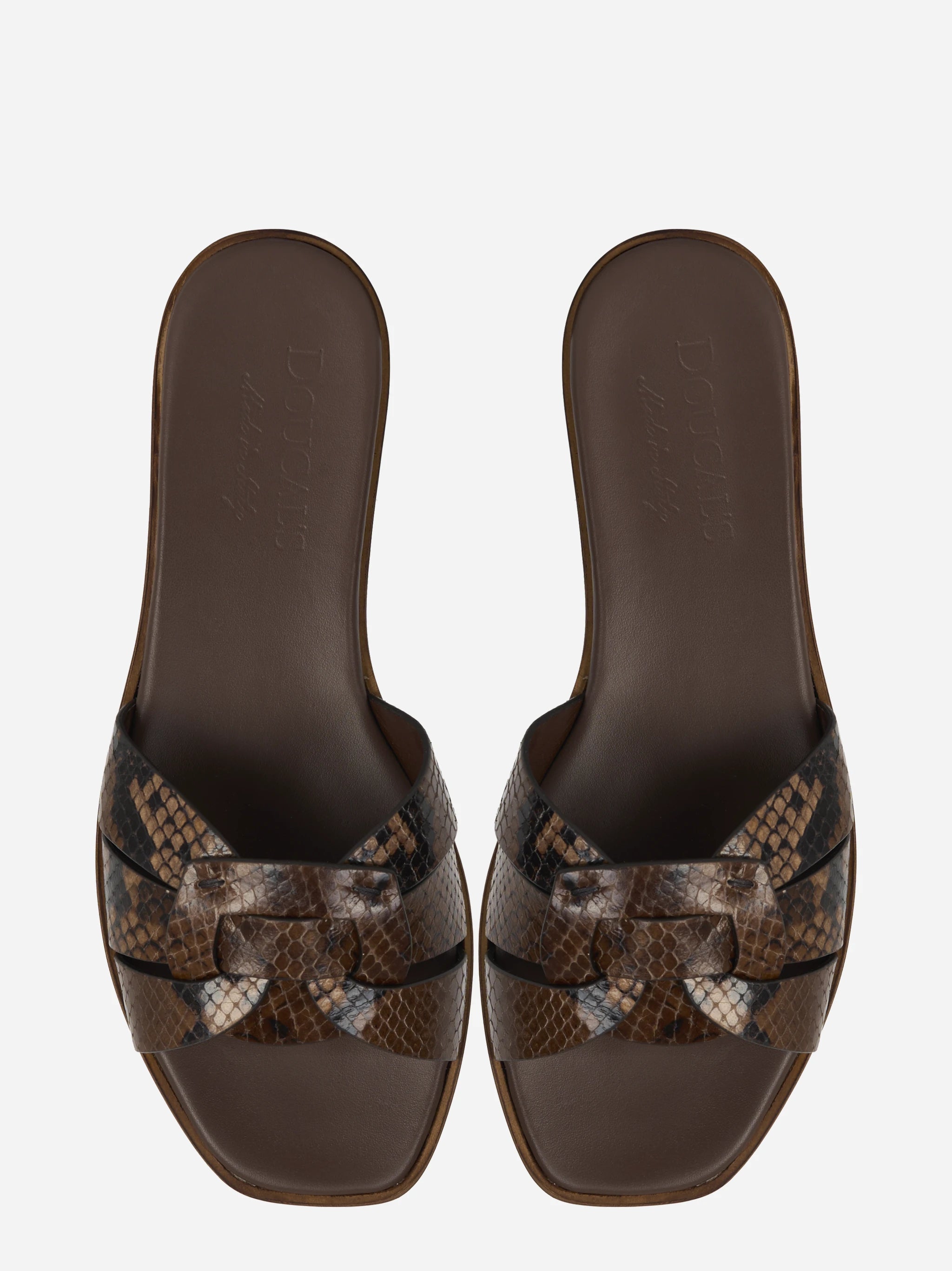 Ciabatta flat con stampa pitone nei toni del marrone