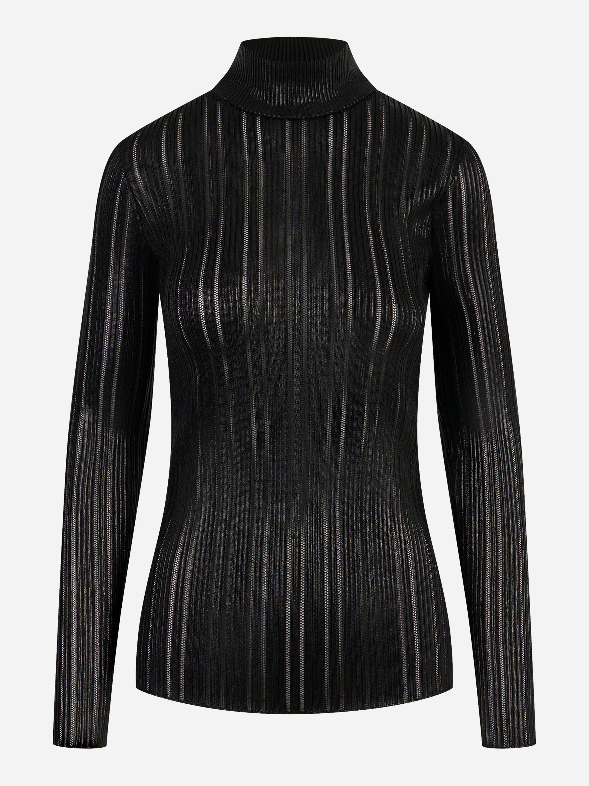 Dolcevita nero con righe trasparenti Elisabetta Franchi – fronte