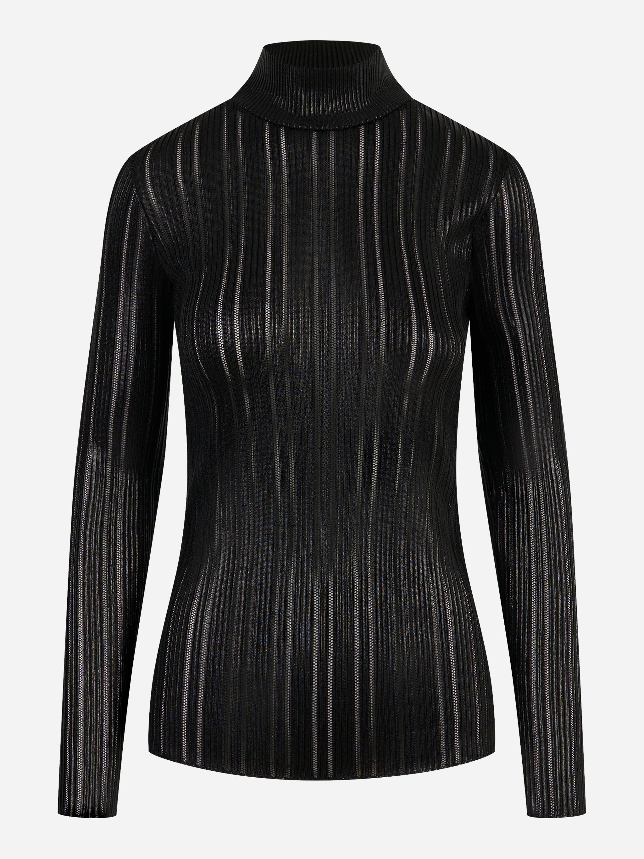 Dolcevita nero con righe trasparenti Elisabetta Franchi – fronte