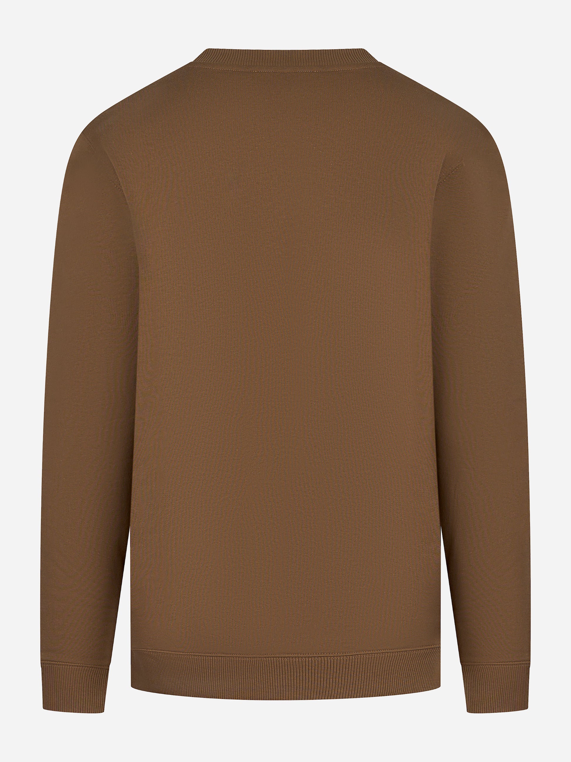 Felpa girocollo in cotone color fango Dondup - retro