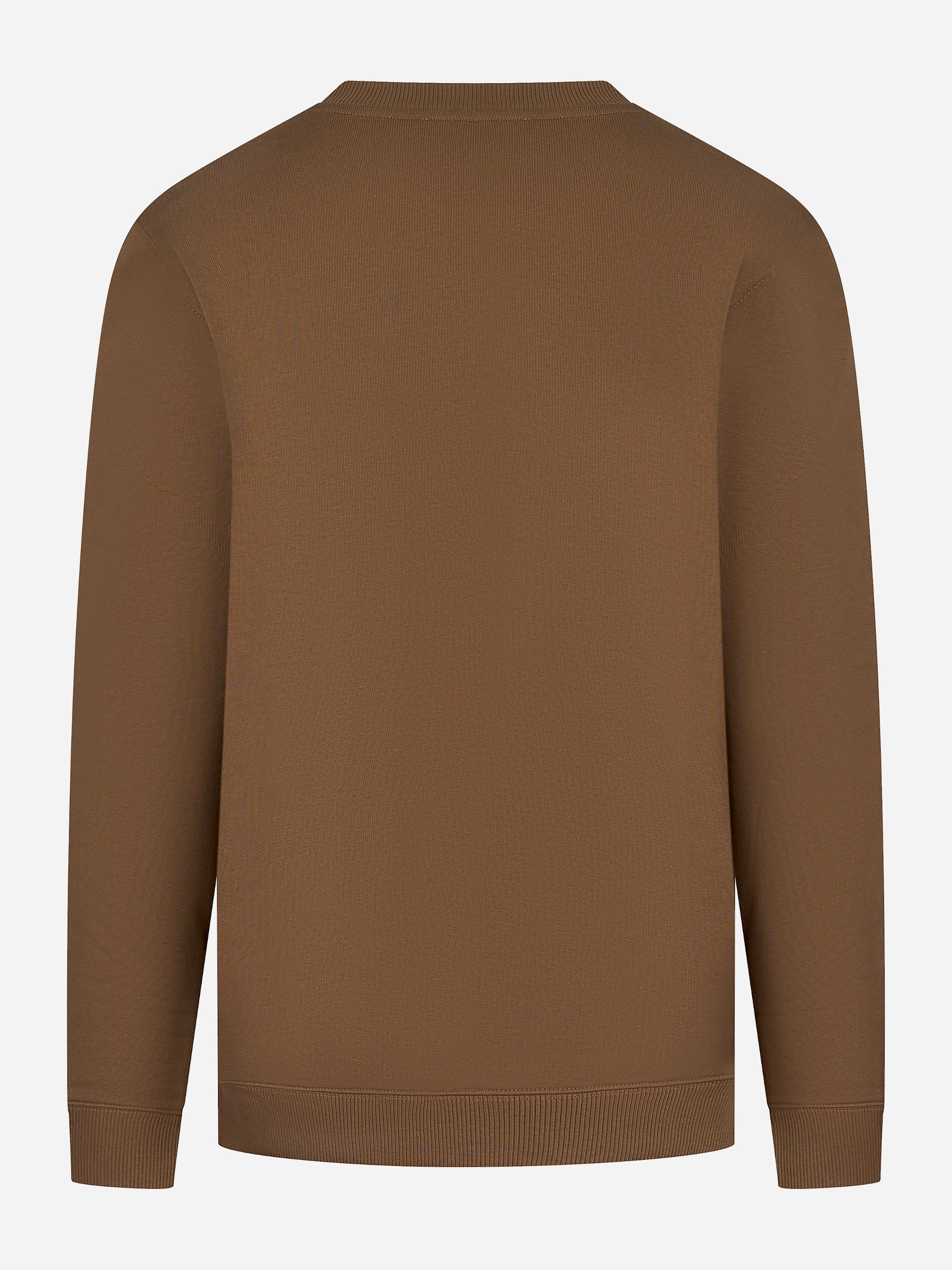 Felpa girocollo in cotone color fango Dondup - retro