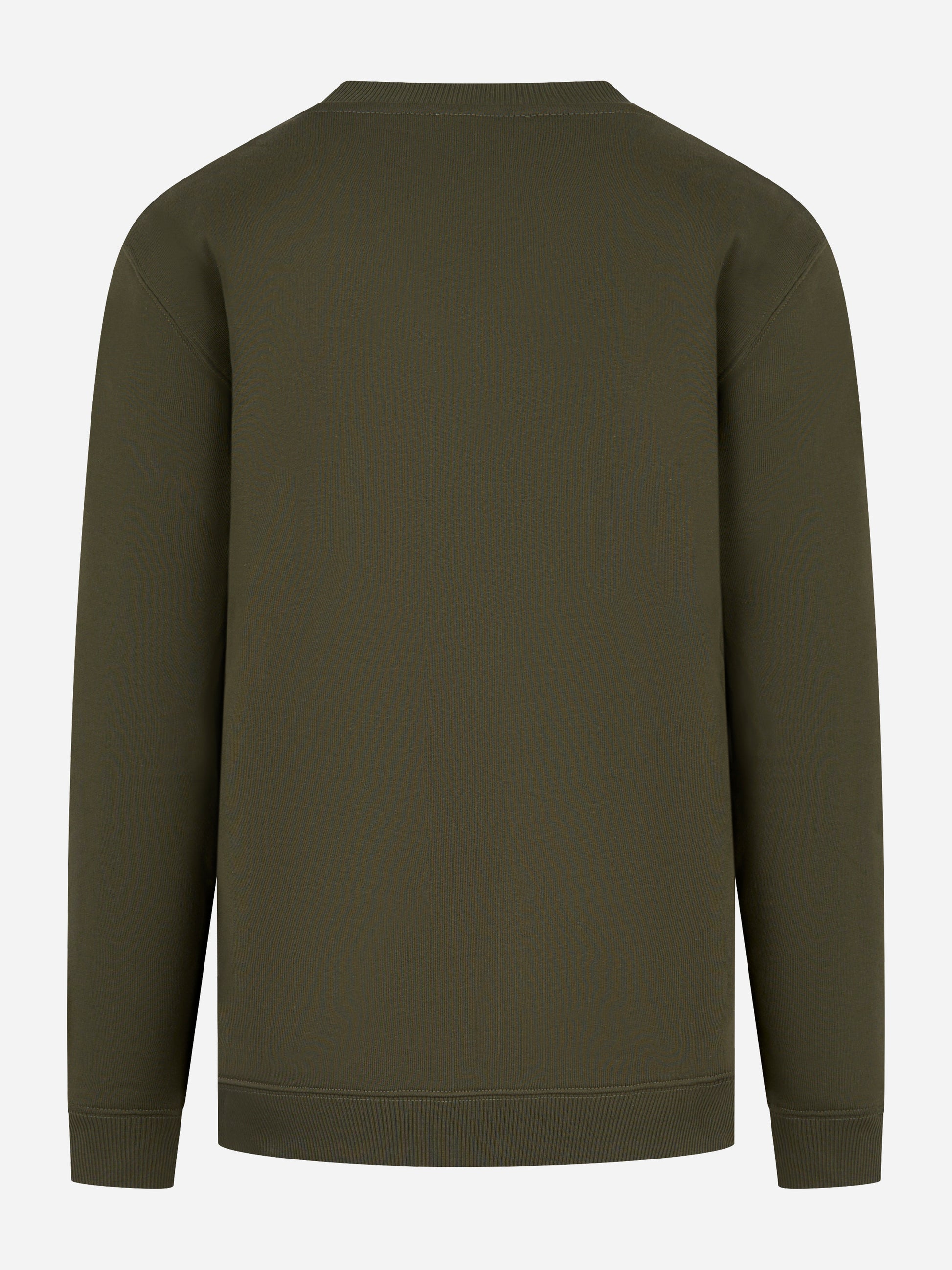 Felpa girocollo in cotone verde Dondup vista posteriore