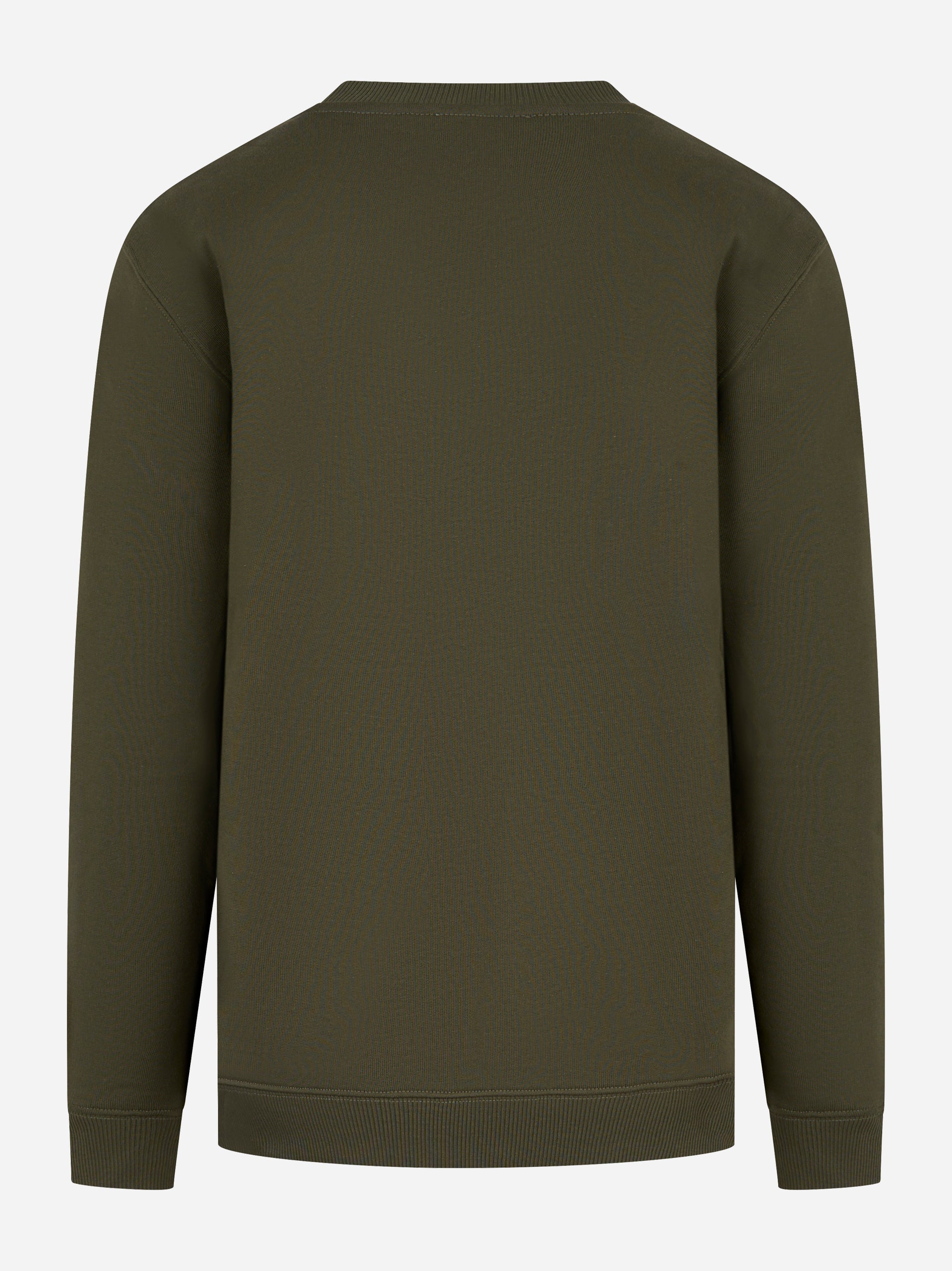 Felpa girocollo in cotone verde Dondup vista posteriore