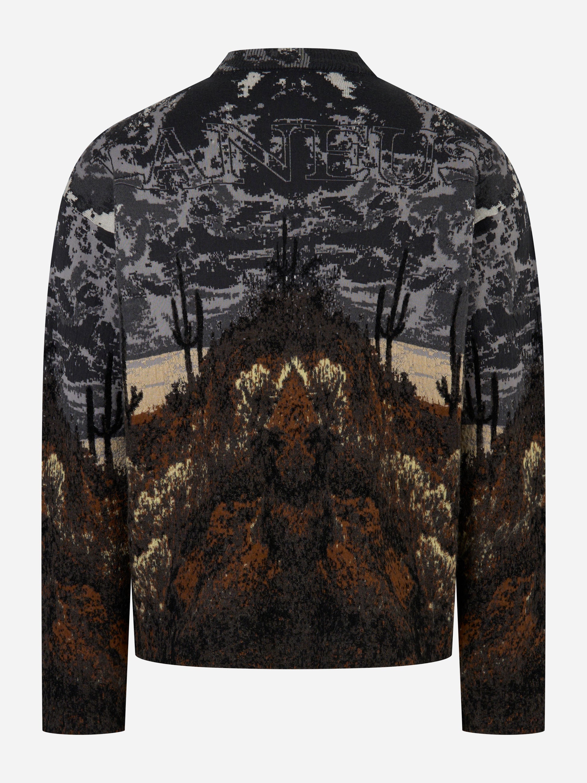 Maglia jacquard Laneus con motivo cactus e montagna vista posteriore