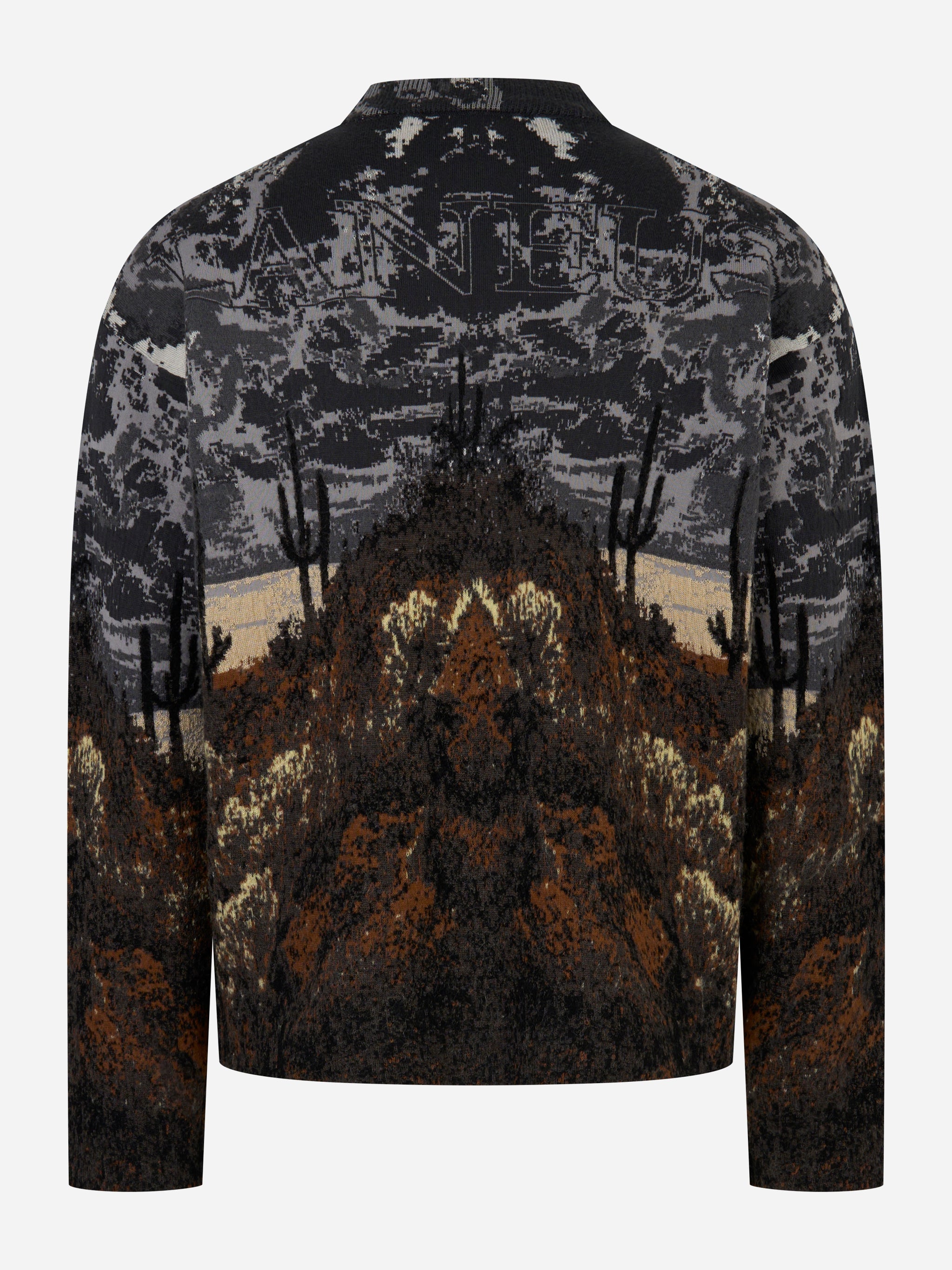 Maglia jacquard Laneus con motivo cactus e montagna vista posteriore