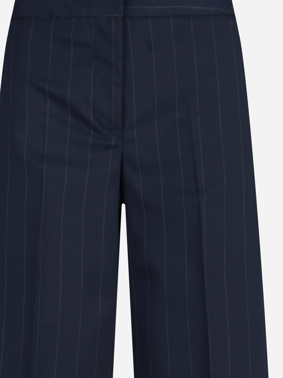 Pantalone largo gessato blu - vista posteriore