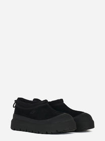 Tasman weather hybrid Nera